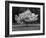 Cherry Blossom, Michigan 04-Monte Nagler-Framed Photographic Print