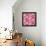 Cherry Blossom Pop-Sharon Turner-Framed Stretched Canvas displayed on a wall