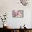 Cherry Blossom (Prunus 'Serrulata')-Maria Mosolova-Framed Premier Image Canvas displayed on a wall