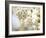 Cherry Blossom (Prunus Sp.)-Adrian Bicker-Framed Photographic Print