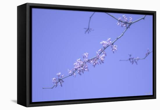 Cherry Blossom Sky 3-null-Framed Premier Image Canvas