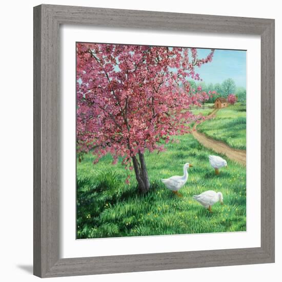 Cherry Blossom Time-Kevin Dodds-Framed Giclee Print