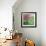 Cherry Blossom Time-Kevin Dodds-Framed Giclee Print displayed on a wall