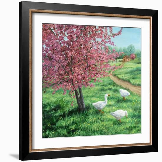 Cherry Blossom Time-Kevin Dodds-Framed Giclee Print