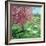 Cherry Blossom Time-Kevin Dodds-Framed Giclee Print