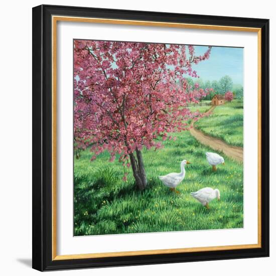 Cherry Blossom Time-Kevin Dodds-Framed Giclee Print