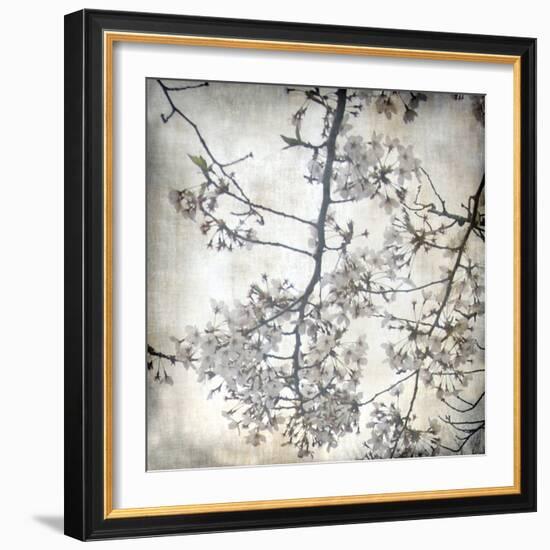 Cherry Blossom Tree V-Tony Koukos-Framed Giclee Print