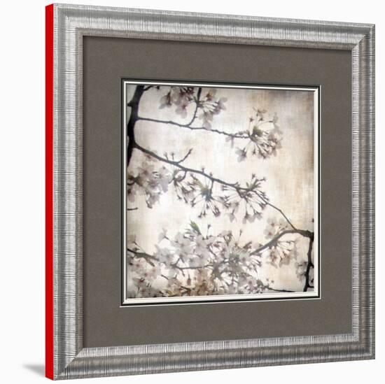 Cherry Blossom Tree VI-Tony Koukos-Framed Art Print
