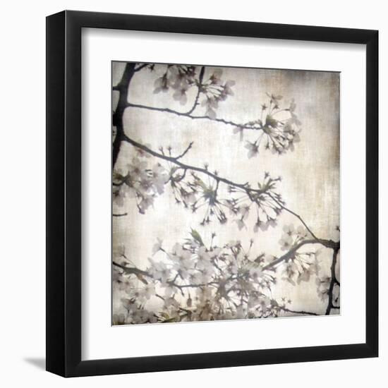 Cherry Blossom Tree VI-Tony Koukos-Framed Giclee Print