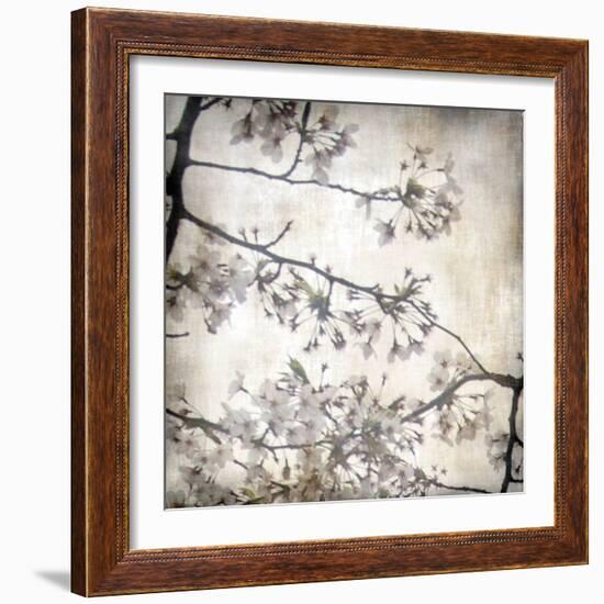 Cherry Blossom Tree VI-Tony Koukos-Framed Giclee Print