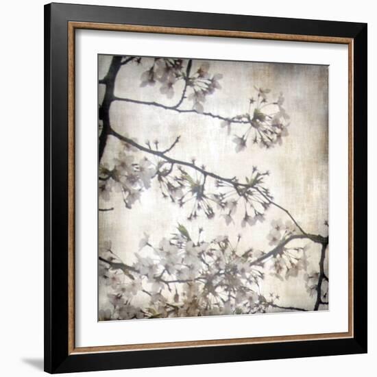 Cherry Blossom Tree VI-Tony Koukos-Framed Giclee Print