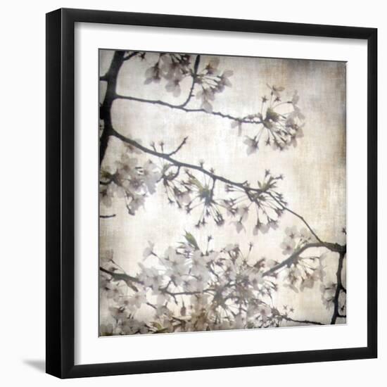 Cherry Blossom Tree VI-Tony Koukos-Framed Giclee Print