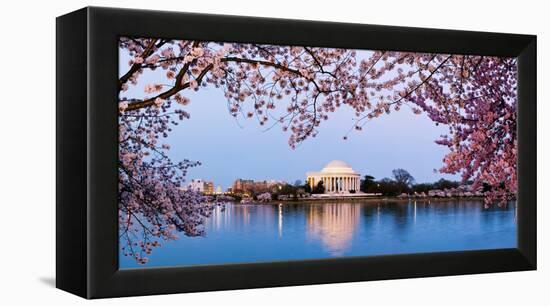 Cherry Blossom Tree with a Memorial in the Background, Jefferson Memorial, Washington Dc, USA-null-Framed Stretched Canvas