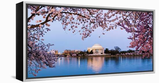 Cherry Blossom Tree with a Memorial in the Background, Jefferson Memorial, Washington Dc, USA-null-Framed Stretched Canvas