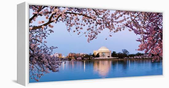 Cherry Blossom Tree with a Memorial in the Background, Jefferson Memorial, Washington Dc, USA-null-Framed Stretched Canvas