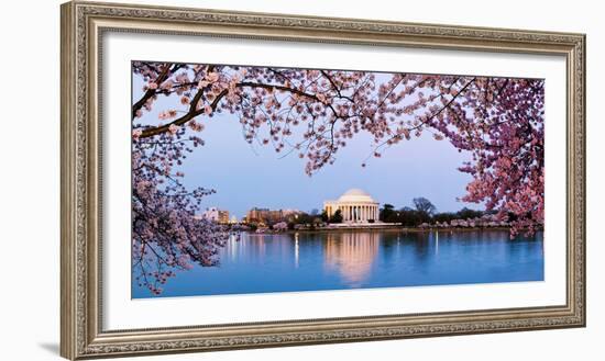 Cherry Blossom Tree with a Memorial in the Background, Jefferson Memorial, Washington Dc, USA-null-Framed Photographic Print