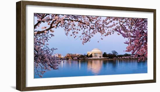 Cherry Blossom Tree with a Memorial in the Background, Jefferson Memorial, Washington Dc, USA-null-Framed Photographic Print