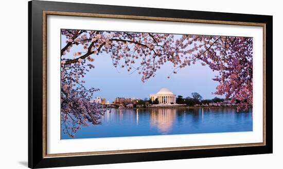 Cherry Blossom Tree with a Memorial in the Background, Jefferson Memorial, Washington Dc, USA-null-Framed Photographic Print