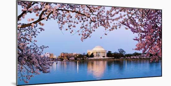 Cherry Blossom Tree with a Memorial in the Background, Jefferson Memorial, Washington Dc, USA-null-Mounted Photographic Print