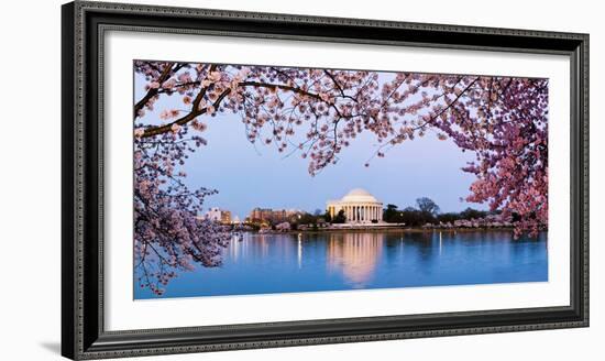 Cherry Blossom Tree with a Memorial in the Background, Jefferson Memorial, Washington Dc, USA-null-Framed Photographic Print