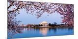 Premium Photographic Print