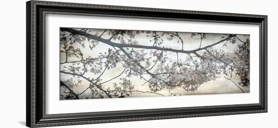Cherry Blossom Tree-Tony Koukos-Framed Giclee Print