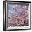 Cherry Blossom Trees in Full Bloom at the National Mall, Washington Dc, USA-null-Framed Photographic Print