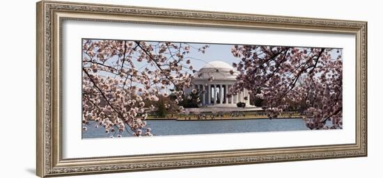 Cherry Blossom Trees in the Tidal Basin with the Jefferson Memorial in the Background-null-Framed Photographic Print