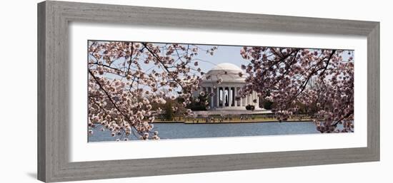 Cherry Blossom Trees in the Tidal Basin with the Jefferson Memorial in the Background-null-Framed Photographic Print