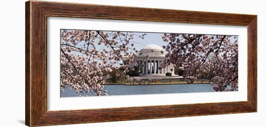 Cherry Blossom Trees in the Tidal Basin with the Jefferson Memorial in the Background-null-Framed Photographic Print