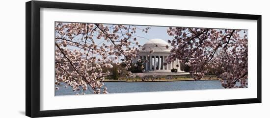 Cherry Blossom Trees in the Tidal Basin with the Jefferson Memorial in the Background-null-Framed Photographic Print