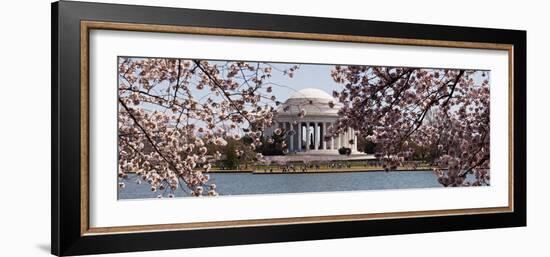 Cherry Blossom Trees in the Tidal Basin with the Jefferson Memorial in the Background-null-Framed Photographic Print