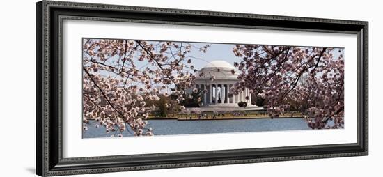 Cherry Blossom Trees in the Tidal Basin with the Jefferson Memorial in the Background-null-Framed Photographic Print
