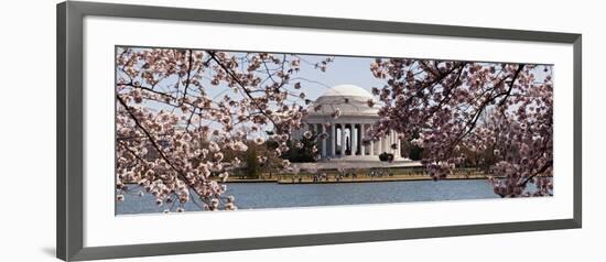 Cherry Blossom Trees in the Tidal Basin with the Jefferson Memorial in the Background-null-Framed Photographic Print