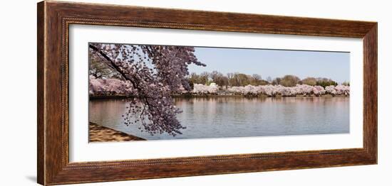 Cherry Blossom Trees Near Martin Luther King Jr. National Memorial, Washington Dc, USA-null-Framed Photographic Print