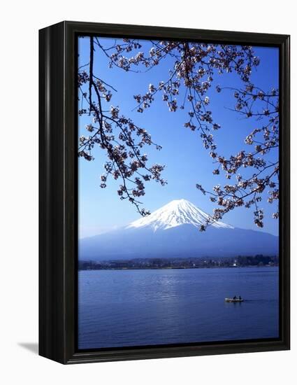 Cherry Blossom with Mount Fuji and Lake Kawaguchi in Background, Fuji-Hakone-Izu National Park, Jap-Dallas and John Heaton-Framed Premier Image Canvas