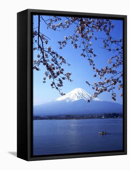 Cherry Blossom with Mount Fuji and Lake Kawaguchi in Background, Fuji-Hakone-Izu National Park, Jap-Dallas and John Heaton-Framed Premier Image Canvas