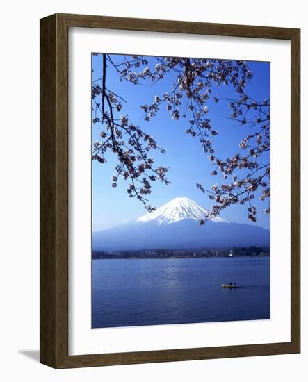 Cherry Blossom with Mount Fuji and Lake Kawaguchi in Background, Fuji-Hakone-Izu National Park, Jap-Dallas and John Heaton-Framed Photographic Print