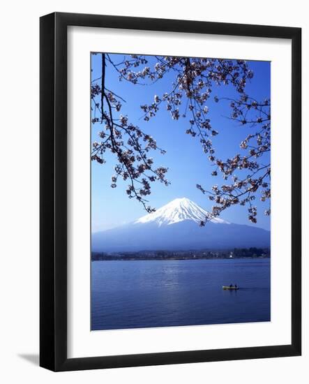 Cherry Blossom with Mount Fuji and Lake Kawaguchi in Background, Fuji-Hakone-Izu National Park, Jap-Dallas and John Heaton-Framed Photographic Print