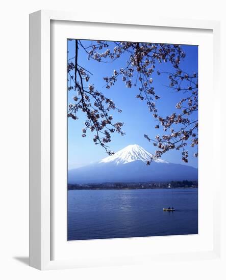 Cherry Blossom with Mount Fuji and Lake Kawaguchi in Background, Fuji-Hakone-Izu National Park, Jap-Dallas and John Heaton-Framed Photographic Print