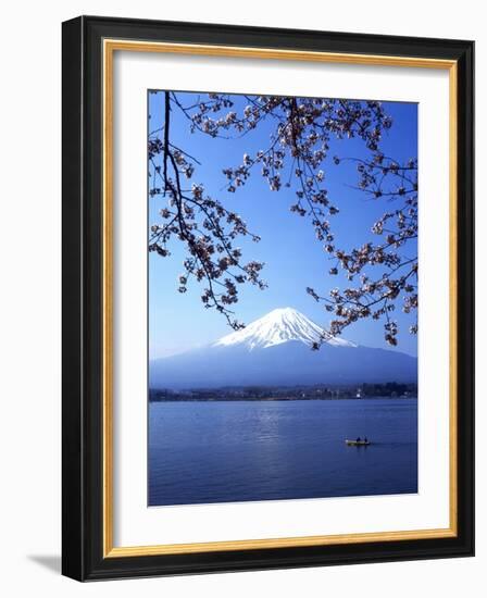 Cherry Blossom with Mount Fuji and Lake Kawaguchi in Background, Fuji-Hakone-Izu National Park, Jap-Dallas and John Heaton-Framed Photographic Print