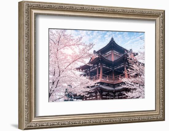 Cherry Blossom with Traditional Chinese Roof in Qing Long Temple,Xi An,China-kenny001-Framed Photographic Print