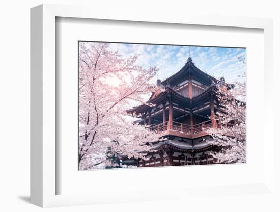 Cherry Blossom with Traditional Chinese Roof in Qing Long Temple,Xi An,China-kenny001-Framed Photographic Print