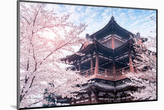 Cherry Blossom with Traditional Chinese Roof in Qing Long Temple,Xi An,China-kenny001-Mounted Photographic Print