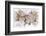 Cherry Blossom-null-Framed Art Print