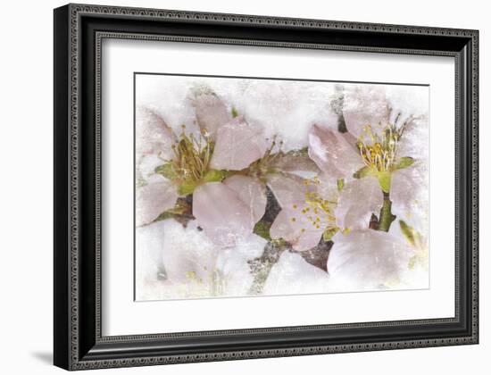 Cherry Blossom-null-Framed Art Print