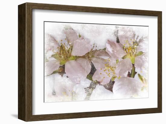 Cherry Blossom-null-Framed Art Print