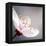 Cherry Blossom-null-Framed Premier Image Canvas