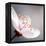 Cherry Blossom-null-Framed Premier Image Canvas