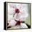 Cherry Blossom-null-Framed Premier Image Canvas